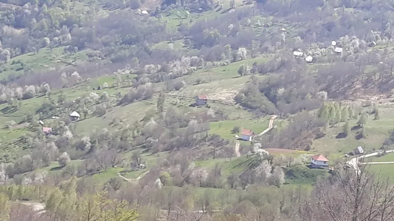 Montenegro farm for sale