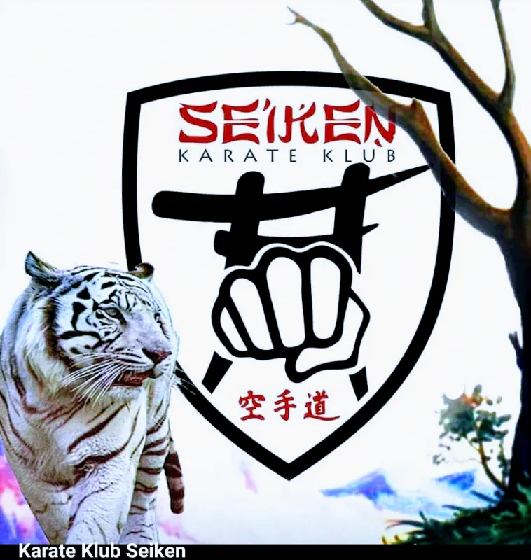 Skola Karatea / Samoodbrana / Kondicioni treninzi /