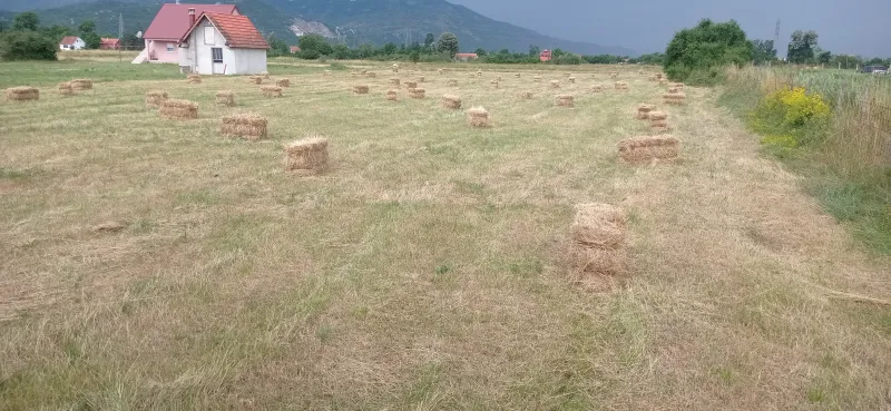 Prodajem plac Niksic , Ozrinici