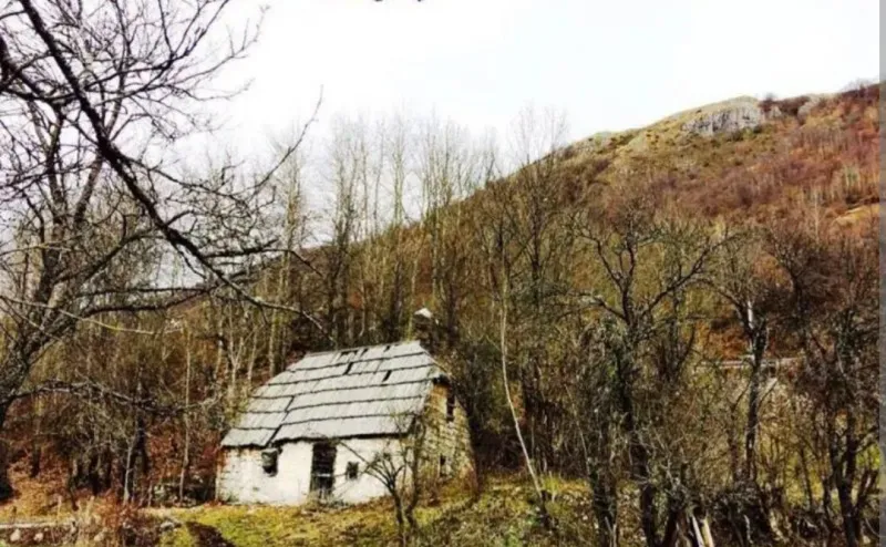 Prelepo planinsko imanje na Durmitoru, Timar, Savnik