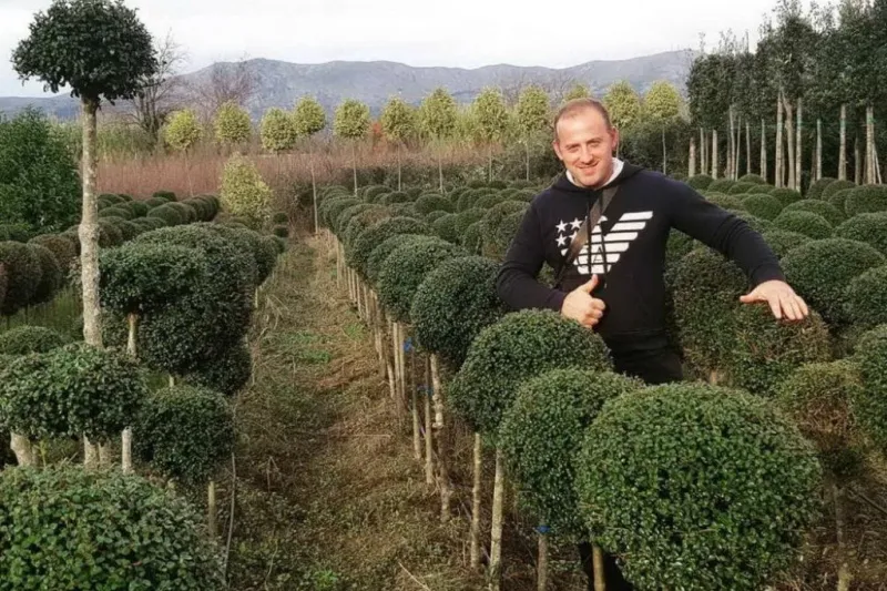 rasadnik, sadnice hortikulture i vocnih vrsta, automatski zalivni sistemi