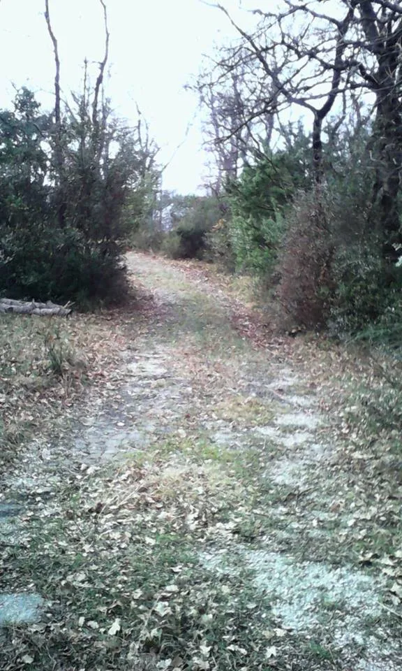 Izuzetno povoljno plac u Mojdezu kod Herceg Novog