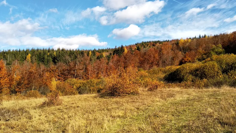 Zemljište u blizini Kolašina
