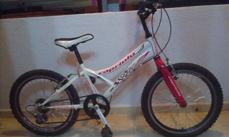 Capriolo biciklo