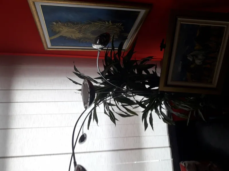 lampa