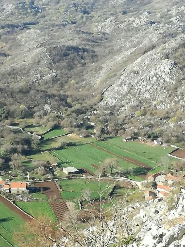 Prodajem kucu