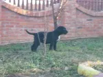 Slika 2