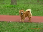 Slika 2
