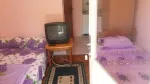 Slika 1