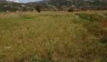 Slika 1