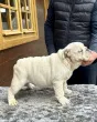 Slika 1