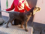 Slika 2
