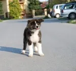 Slika 2