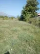 Slika 1