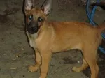 Slika 6