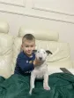 Slika 2
