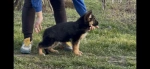 Slika 2