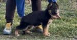 Slika 3