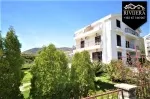 Slika 1