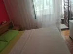 Slika 1