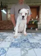 Slika 2