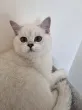 Slika 3