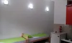 Slika 1