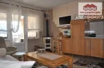 Slika 1