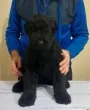 Slika 2