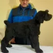 Slika 4