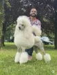 Slika 3