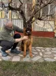 Slika 3