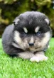 Slika 3