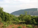 Slika 1