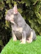 Slika 4
