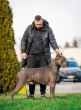 Slika 5