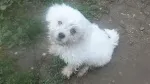Slika 3