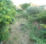 Slika 1