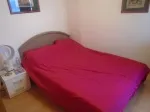 Slika 1