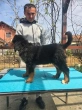 Slika 3
