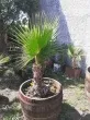 Slika 2