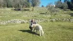 Slika 1