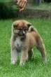 Slika 3