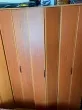 Slika 1