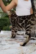 Slika 3