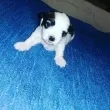 Slika 2