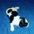 Slika 3