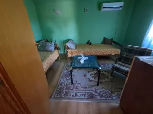 Slika 8