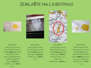 Slika 1