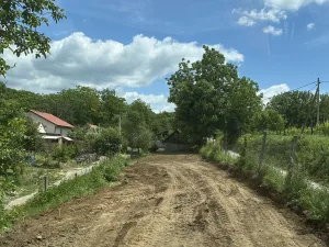 Slika 1